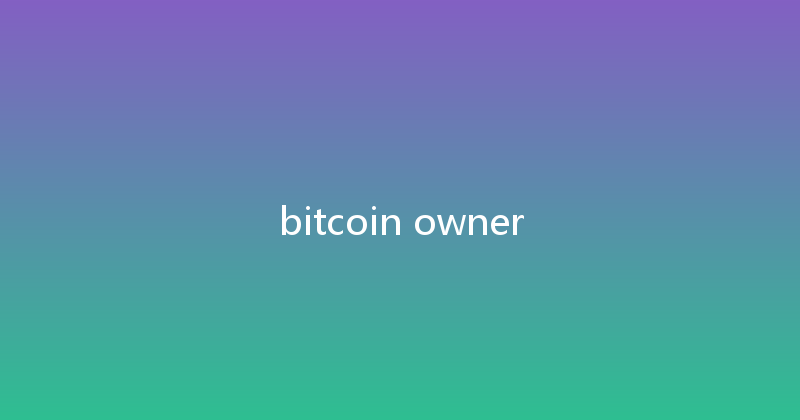 bitcoin owner 